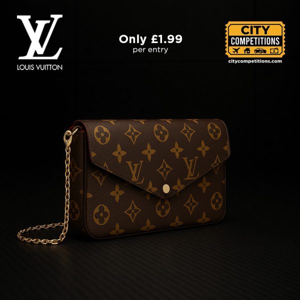 Louis Vuitton Bag for £1.99